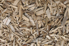 biomass boilers Llangyniew